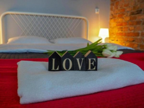 Apartament w Sercu Torunia